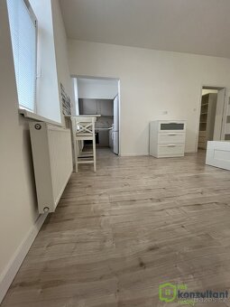 Pronájem bytu 1+1, 35 m2 - Ostrava - Vítkovice, ev.č. 00808 - 4