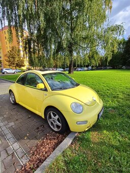 New Beetle - 4