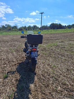 BMW R 1200 GS (2008) - 4