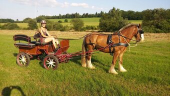 téměř nová wagoneta - 4