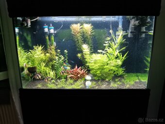 Akvária Aqualantis Fusion 60 a 80 - 4