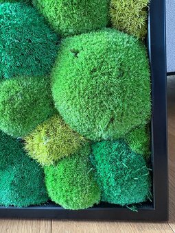 Mechový obraz 56x56 cm - 4