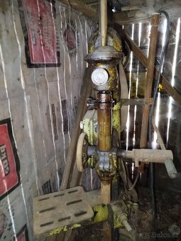 Vrtačka sloupová - 4