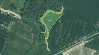 Zemědělská půda, prodej, Skviřín, Bor, Tachov - 4