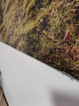 Fotoobraz ve skle 120x80 cm - 4