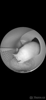 PETKIT PUROBOT MAX PRO – v záruce Alza - 4