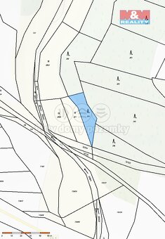 Prodej lesa v Stříteži a Kožichovicích - 4