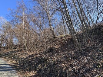 Prodej stavebního pozemku, 5589 m², U Sv. Rocha, Zlaté Hory. - 4