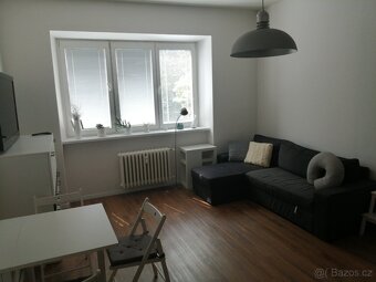 Pronájem 2+kk, ulice Botanická, centrum, 57 m2, balkon - 4