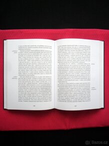 Tajemství barev - Steiner ( rozfoceno 6 snímků ) - 4