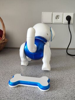 chodící a mluvící pejsek - 4