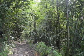 Prodej pozemku, 11926 m2, Bohutín nad Moravou - 4