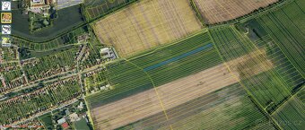 Prodej Orné půdy v kú Prušánky 3,3ha - 4