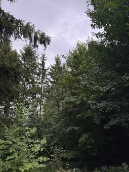 Prodej lesa Drnovice u Valašských Klobouk - 2294m2 - 4