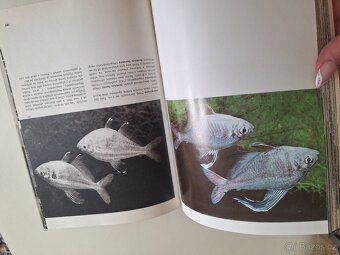 Velký obrazový atlas ryb - 4