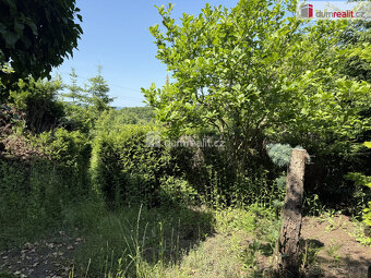 Prodej zahrady se zahradní chatkou o rozloze 420 m2 - Kralup - 4