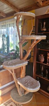 🐾 Originální ručně vyrobený kočičí strom z přírodního dřeva - 4