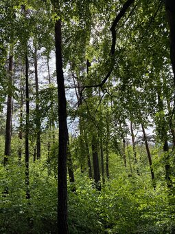 Prodám pozemky v katastrálním území Český Dub - 4