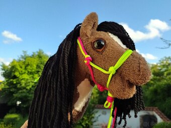 Hobby horse - 4