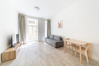 🏡 ĂštulnĂ˝ byt 1kk v centru Prahy — s flexibilnĂmi podmĂnkami - 4