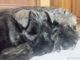 KNÍRAČ MALÝ P+S s PP - 4