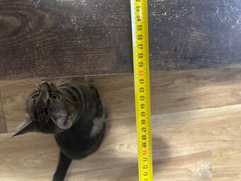 Konferenčni stůl - 4