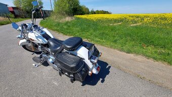 Harley Davidson - 4