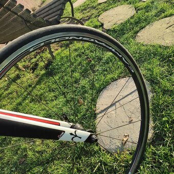 Wilier GTR team Campagnolo Athena+trenažér - 4