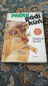 Knihy viz seznam níže - beletrie i odborná literatura - 4