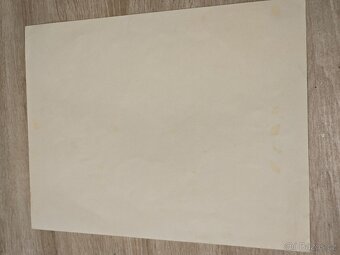 Hitlerjugend dokument na ženu  - 4