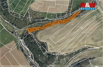 Prodej lesa, 4593 m², Dobříč - 4