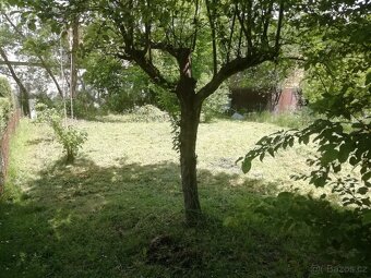 Zahrada s chatkou a elektřinou Plzeň - Valcha - 4