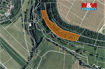 Prodej lesa, 14689 m², Skuteč - 4