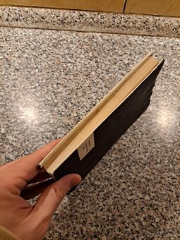 Jan Neruda - Obrázky - 4