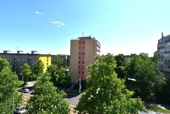 Pronájem bytu 2+kk, Praha 3 Žižkov - 4