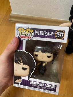 Wednesday merch - 4