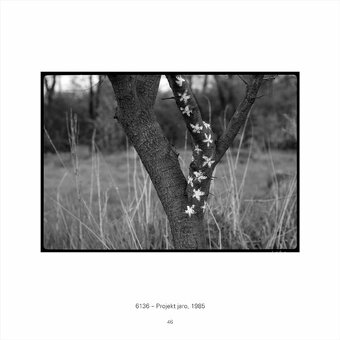 JIŘÍ FOLTÝN: FOTOGRAFIE - 4