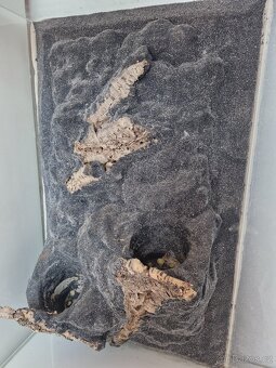 Terarium - 4