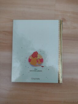 Kniha Lví král - 4