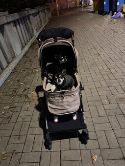 Kocarek pro pejsky psy Fikago - 4