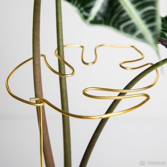 Opora pro rostliny, list monstery, zlatá - 4