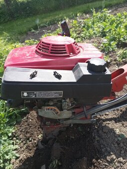Pohonná jednotka Terra Vari Honda GXV 160 - 4