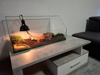 Prodám želví stůl/želvárium různých velikostí - 4