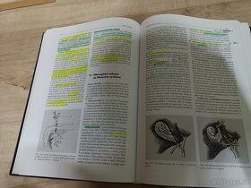 Speciální chirurgie - Miroslav Zeman - 4