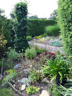 Pronájem zahrady v zahrádkářské kolonii - 4