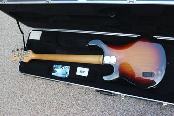 Ernie Ball - 4