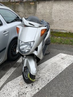 Dily Honda Pantheon 125cc 2t. - 4