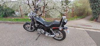 Honda VT500c Shadow - 4