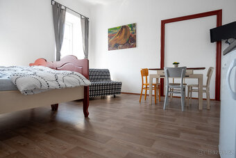 Pronájem bytu 1+kk 38m2 - 4