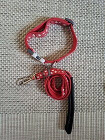 Obojek a vodítko Red Dingo - 4